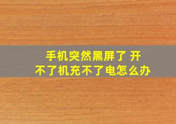 手机突然黑屏了 开不了机充不了电怎么办